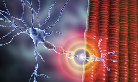 فيروس يهدد بأنواع مختلفة من السرطان